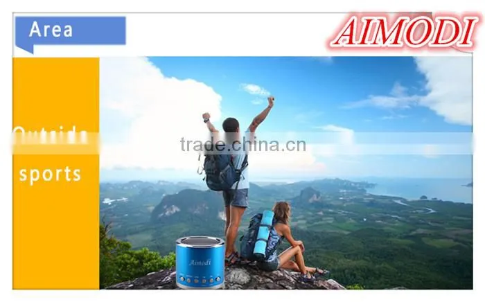 Multic-function mini speaker, Moblie mini speaker support FM function with induction function MN-02