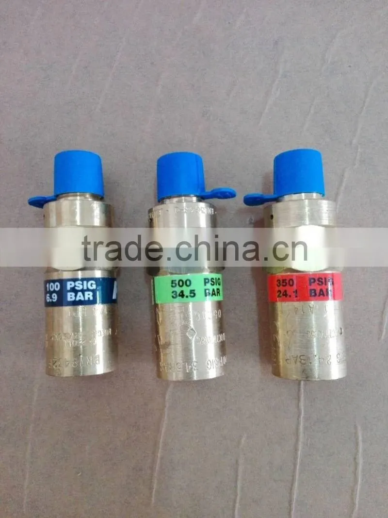Industrial Standard Rego Cryogenic Safety Valve