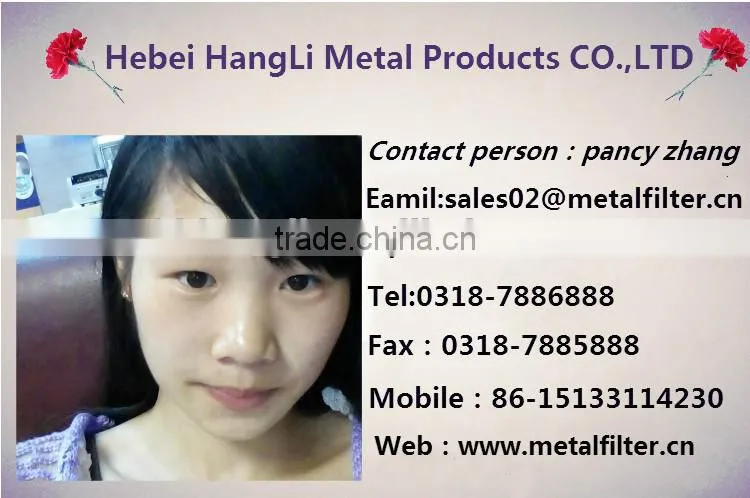 fence netting/chain link fence/wire mesh fence/welded wire mesh/stainless steel wire mesh/hexagonal wire mesh/iron wire mesh