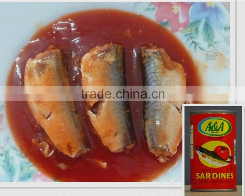New canned sardine In Tomato Sauce new brand