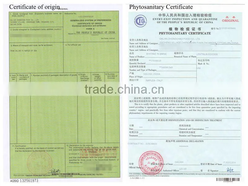 Chinese cultivated honey mushroom