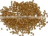 Floating Frog/ salmon/fish /pet/fish / animal pellet /food machine//floating pellet making machine for fish