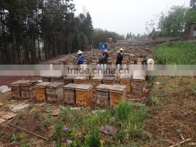 mixed cleaning bee pollen granular for beekeeping with the competitive price