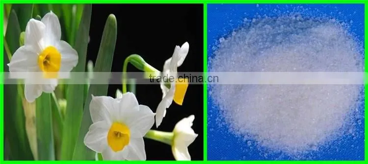 Low Price Nitrogen Fertilizer Ammonium Sulphate