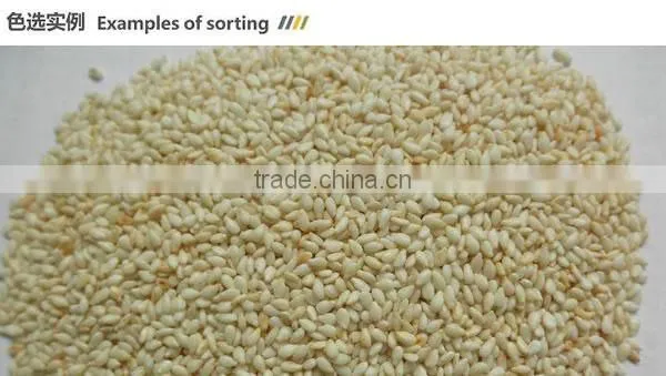 CMEC sesame sorting machine