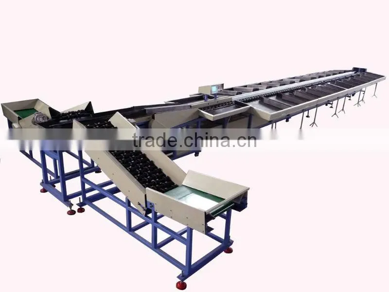 Mandarin orange grading machine