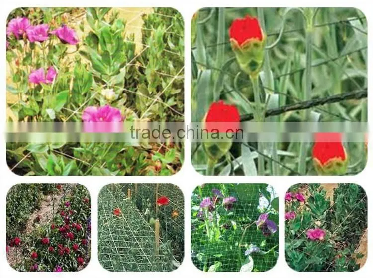 Hot sale UV treated BOP strech net plastic plant climbing nets