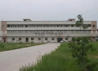Foshan Ceng Ceng Gao Food Co., Ltd. company overview - view 2