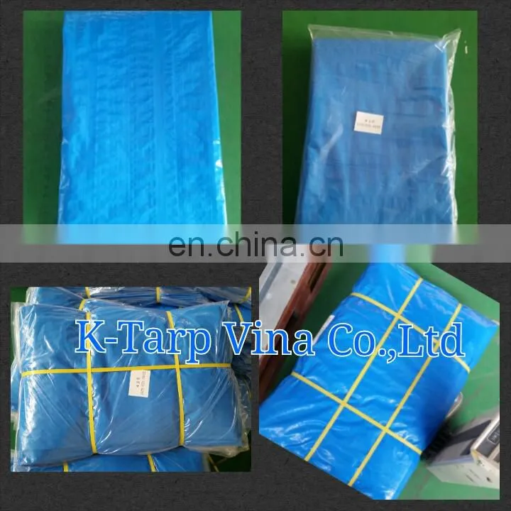 Polyethylene Tarpaulin / PE Tarps Fabric/Canvas/Sheet /Roll for Truck & Boat