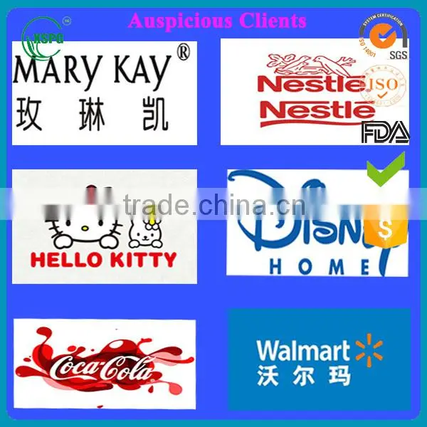 Customized Printed Directly Manufacture top quality clear zipper and handle bag