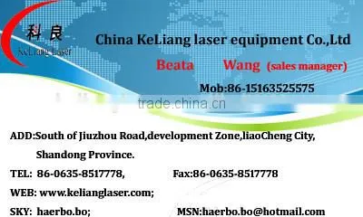 Chile 2014 hot sale in Thailand YAG 3D 100w laser marking machine for tyre