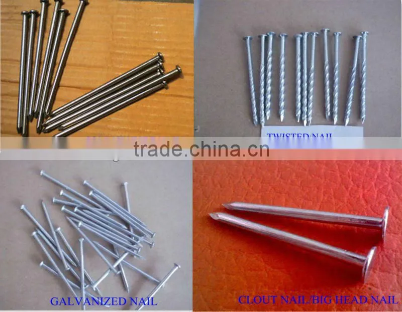 headless iron nails manufacturer