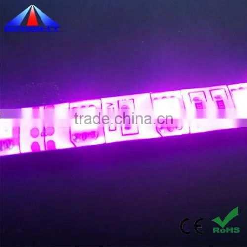 3528 blue flexible smd led strip IP66 silicon tube
