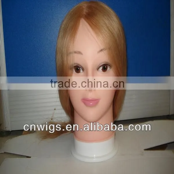 Custom Made male training head with 100% human hair