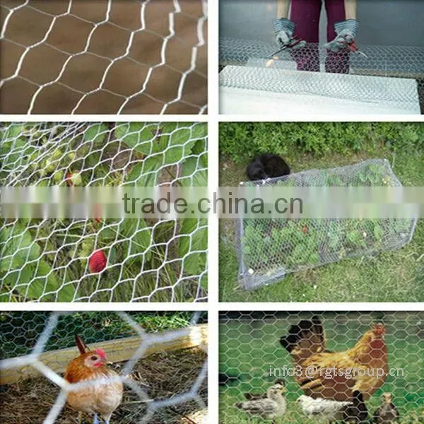 hot sale prime hexagonal wire mesh/ chicken wire mesh with low price