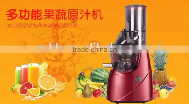 Large Diameter Slow Juicer