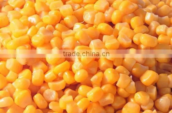 very hot sale maize kernel skin peeler machine by model YMTP350