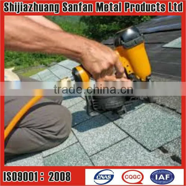 Galvanized Roofing nails