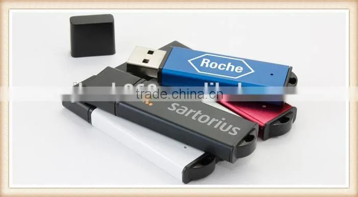 Hot sale plastic lighter shape 2gb usb disk