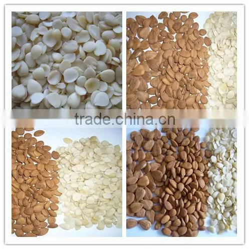 Chinese Guangzhong Blanched Apricot Kernels Flakes