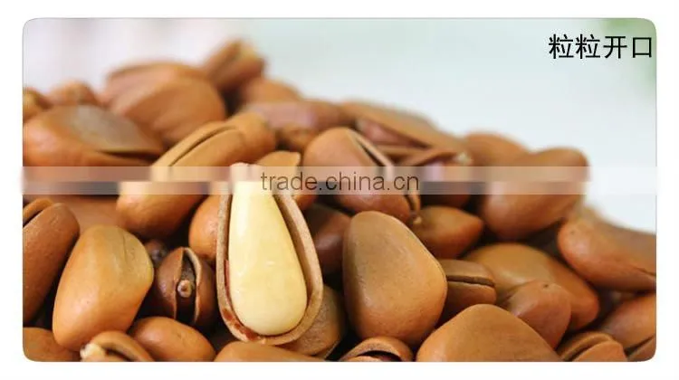 pine nut processing high quality