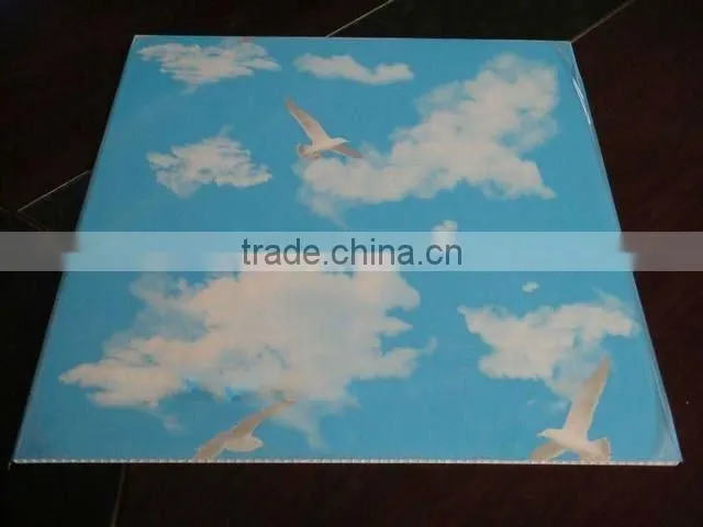 decorative ceiling panel pvc