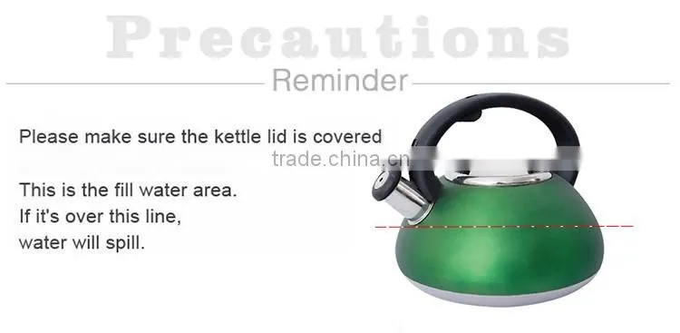 Single bottom non-electric stainless steel induction tea pot camping tea kettle