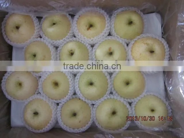 Chinese Gold pear,round pear