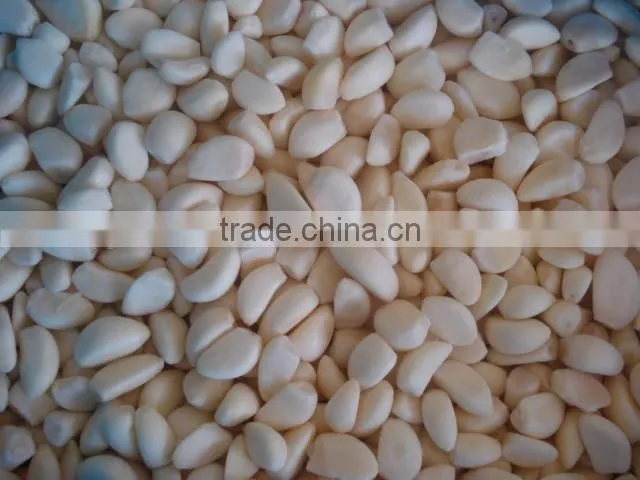 Good Qaulity IQF Peeled Garlic