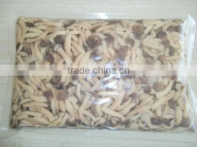 Shimegy in brine brown shimeji mushroom price