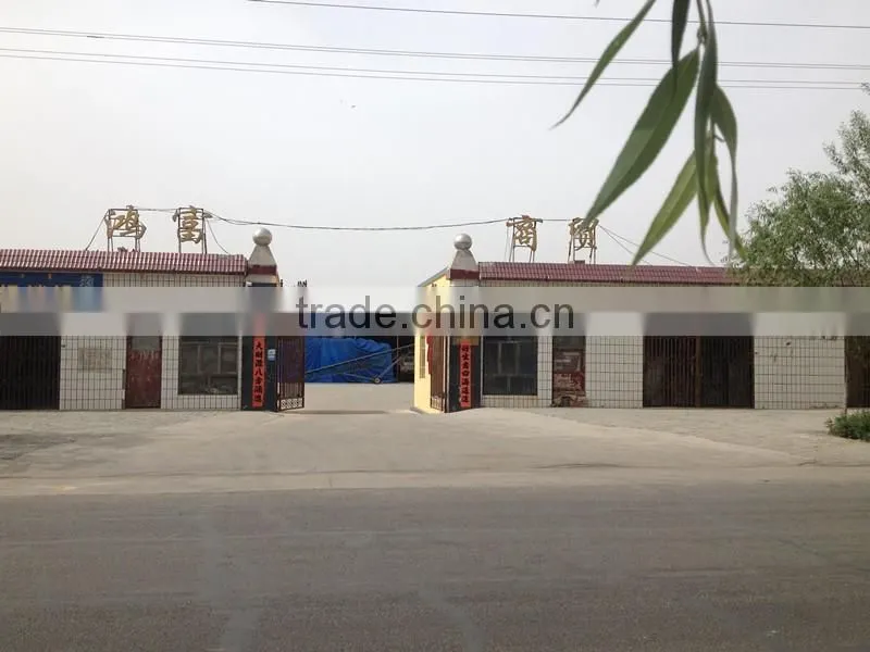 heilongjiang good quality of raw snow pumpkin seed factory sale to Iran market