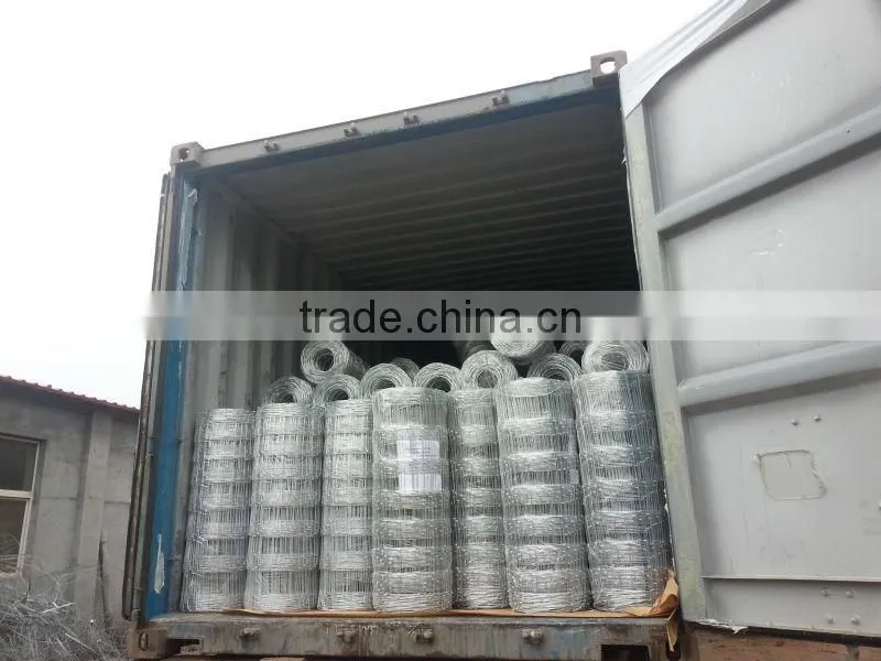 High quality hot dip galvanized veld span fence/deer fence net (Deming factory, ISO900 certificate)