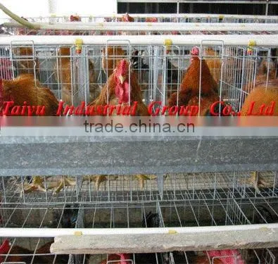 TAIYU-9 boiler/brooder chicken cage
