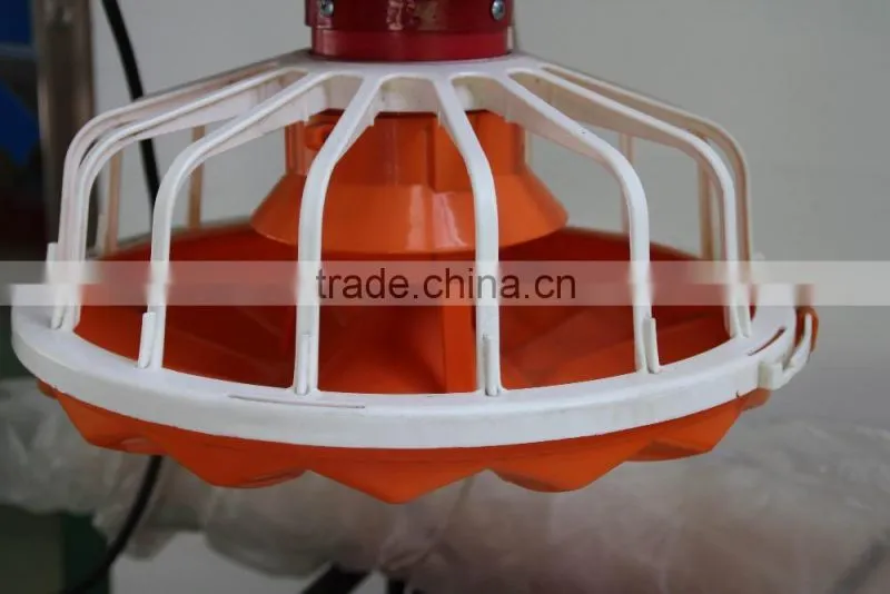 automatic chicken feeding chicken feeding line poultry chain feeding system
