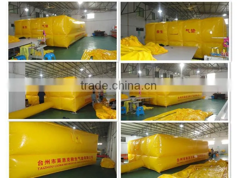 pneumatic cushion