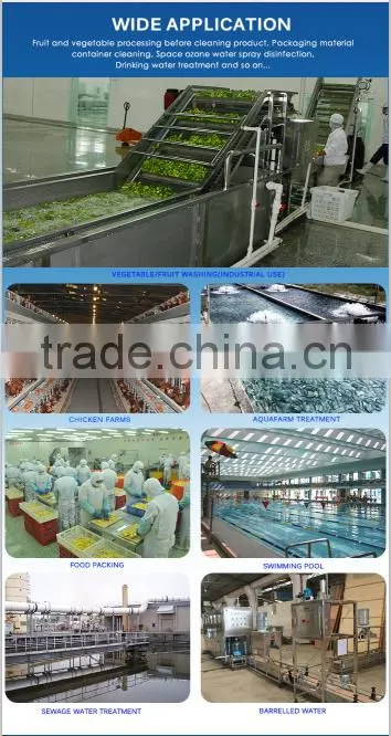 industrial ozone generator, ozone machine for swimming water