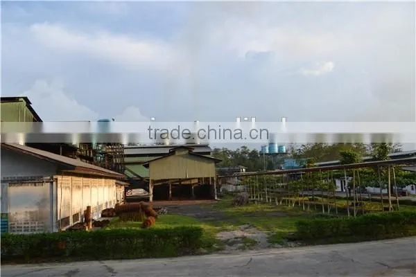 10TPH price palm oil mill plant from China