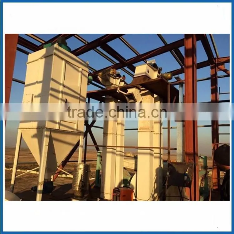 stainless steel Performance stable TDTG series feed conveyor