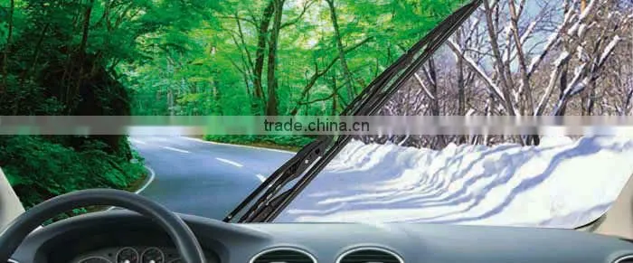 many liters PET bottle Windshield Washer Fluid for car