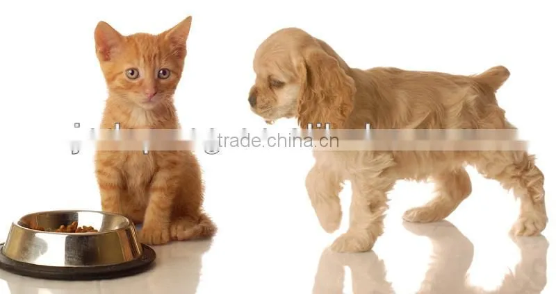 Pet food extruder