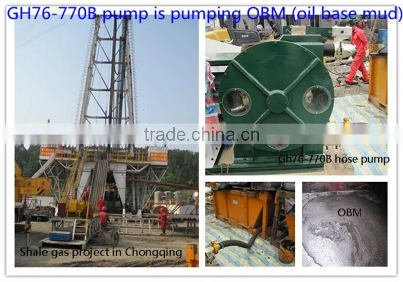 Suitable for High Density High Viscosity with CE ISO Squeeze Pump