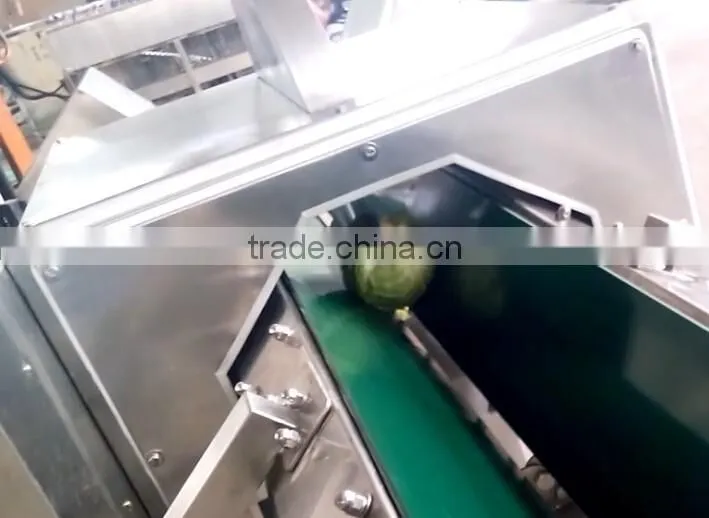 Fruit Vegetable Squash Half Cutting Machine