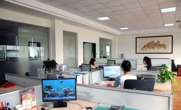 Shanghai Bangding Machinery Equipment company overview - view 3