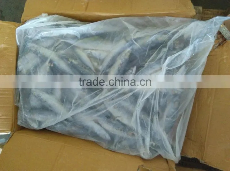 Best Price For Canned Frozen Mackerel Fish