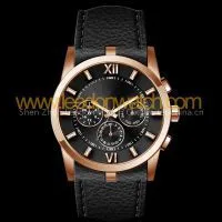 Shen Zhen Leedon Watch Co.,limited company overview - view 1