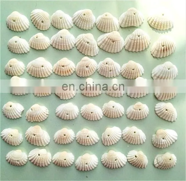 DIY natural seashell color style charm shell accessories for jewelry finding