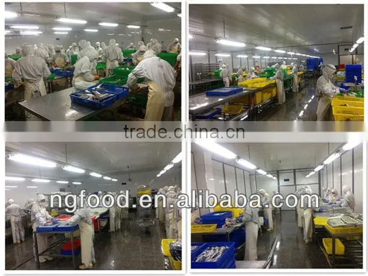 seafood canned mackerel fish