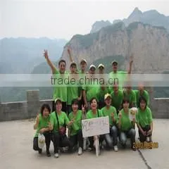 Shijiazhuang Daina Machinery Commerce Co., Ltd. company overview - view 3