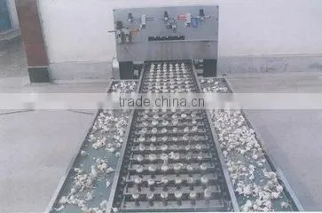 Garlic root cutting machine