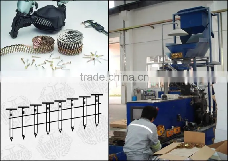 high quality galvanized roofing coil nail for pallet, 15 degree, commen coil nails